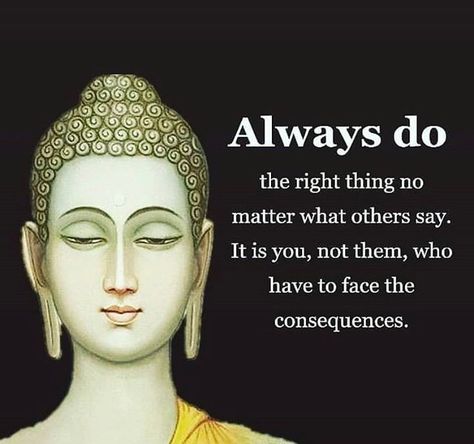 MotivationInfinity on Instagram: “🙏 follow us now @motivationalinfinity ❤️ . 👇Tag someone below who would like this post!! . ❤️what is your experience with meditation? .…” Clear Conscience Quotes, Conscience Quotes, Clear Conscience, Are You Experienced, Lessons Quotes, Manifestation Affirmation, African Proverb, Buddha Teachings, Happy Buddha