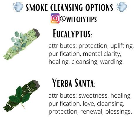 Yerba Santa Smudge Benefits, Yerba Santa Smudge, Smudging Prayer, Yerba Santa, Witchy Tips, Medical Herbs, Essential Oil Diffuser Blends Recipes, Healing Magic, Spiritual Cleansing