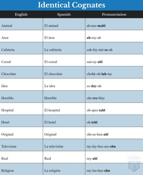 Easy Cognates for the Beginning Spanish Learner : Similar English Words Cognates Spanish English, Spanish Cognates, Beginning Spanish, Spanish 101, Preterite Spanish, Library Rules, Spanish Learning Activities, Spanish Words For Beginners, English Adjectives