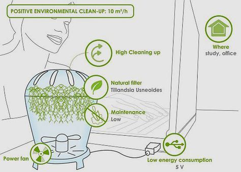 Gerbera Plant, Oxygen Plant, Air Purifier Design, College Project, Smart Farm, Aquaponics Diy, Natural Air Purifier, Urban Gardens, Green Revolution