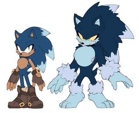 Sonic Unleashed, Gender Fluid, Sonic Fan Characters, Sonic Franchise, Hedgehog Art, Sonic And Shadow, Sonic Fan Art, Pony Drawing, Sonic Art