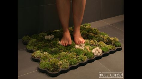 The moss carpet is like bringing home a piece of freedom. It is fluffy, relaxing and when you step on it, it makes you dream. Moss Shower Mats, Moss Bathroom, Moss Bath Mat, Shower Plants, Moss Rug, Bathroom Red, Bathroom Plants, Trendy Bathroom, Shower Mat