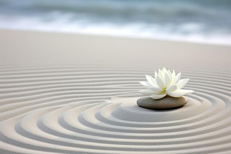 Zen Gardens, Meditation Garden, Tropical Palm Leaves, Zen Meditation, Artistic Images, Tropical Palm, Zen Garden, White Sand, Palm Leaves