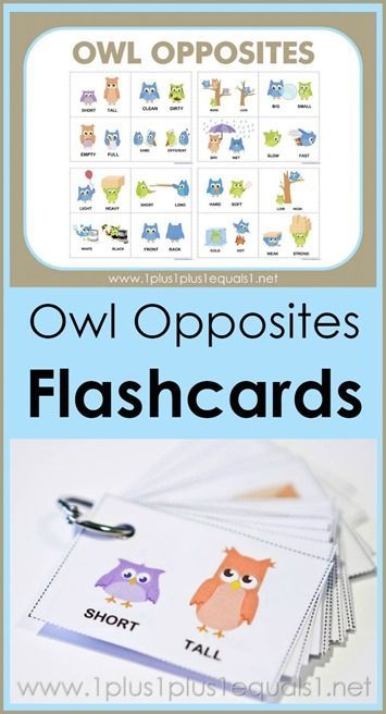 Owl Opposites Flashcards ~ what a cute way to teach opposites!  Adorable owls showing many different opposite words {hot - cold, short - tall, wet - dry and many more!}  Free printable flashcards are great for early childhood education! Opposites Flashcards, Flashcards Free Printable, Opposites Preschool, Adorable Owls, Printable Flashcards, Opposite Words, Have Fun Teaching, Printable Flash Cards, Tot School