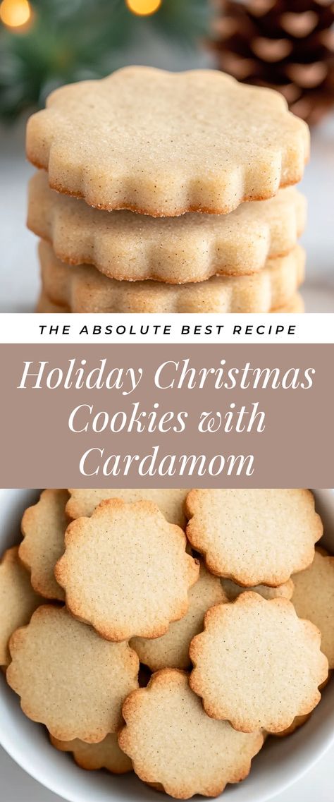 These Holiday Christmas Cookies with Cardamom are a festive treat you won't want to miss! With their warm spice and delightful flavor, they’re perfect for celebrating the season and sharing with loved ones at gatherings. Cardamom Cutout Cookies, Cardamom Shortbread Cookie Recipe, Cardamom Spritz Cookies, Lemon Cardamom Cookies, Gluten Free Cardamom Cookies, Mary’s Sugar Cookies, Almond Shortbread Cookies With Amaretto, Cardamon Cookie Recipes, Cardamom Christmas Cookies