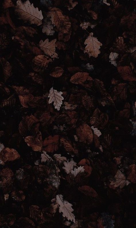 Modern Christmas Wallpaper, Christmas Wallpaper Aesthetic Iphone, Wallpaper Dark Academia, Dark Academia Wallpaper, Dark Naturalism, Purple Flowers Wallpaper, Wallpaper Purple, Academia Wallpaper, Dark Autumn