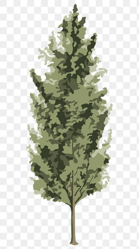 Trees For Collage, Vegetation Png, 2d Tree, Tree Render, Sticker Texture, Architecture Trees, Sticker Overlay, Tree Architecture, Architectural Trees