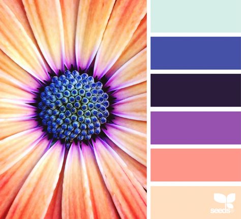 Design Seeds Color Palette, Seeds Color Palette, Seeds Color, Color Concept, Color Catalog, Color Schemes Colour Palettes, Design Seeds, Color Palate, Color Palette Design