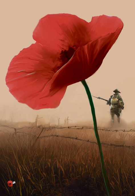 Help line the streets with poppies this Anzac Day with our special poster - NZ Herald Remembrance Day Images, Remembrance Day Posters, Anzac Soldiers, Anzac Day Australia, Remembrance Day Art, Poppy Photo, Remembrance Day Poppy, Remembrance Tattoos, Memorial Museum