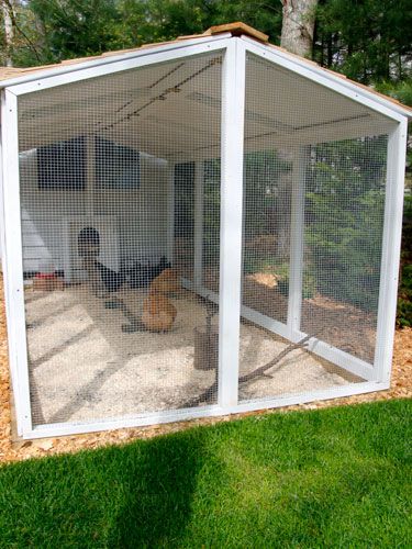 Predator proof your coop using hardware cloth. Avoid chicken wire, too: It's meant to keep chickens in, but will not hold up to predator attacks. Reban Ayam, Chicken Pen, Chicken Coup, Chicken Tractor, Coop Design, Chicken Run, Chicken Coop Designs, Hardware Cloth, Chicken Garden