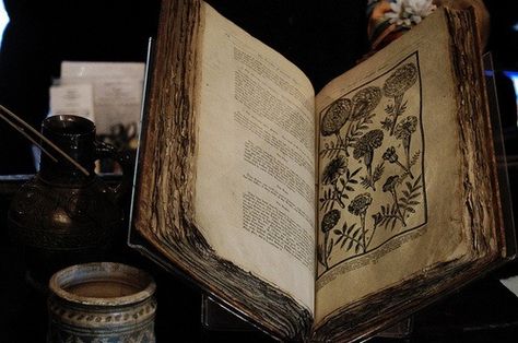 Old nature/spell book Anders Dragon Age, Indrid Cold, Dr Facilier, Roi Arthur, Yennefer Of Vengerberg, Montage Photo, Witch Aesthetic, Open Book, Uncharted