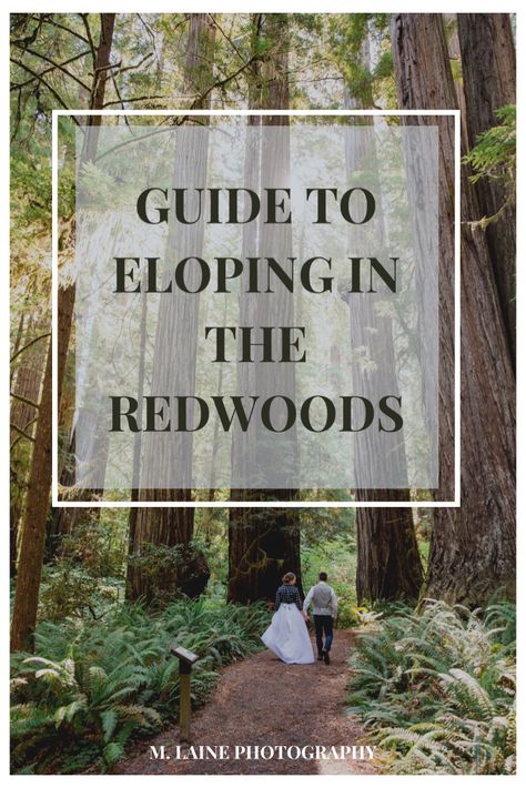 Red Woods Elopement, Wedding In The Redwoods, Red Wood Wedding, Elope National Park, Redwood National Park Elopement, Red Woods Wedding, Redwood National Park Wedding, Redwood Wedding California, Wedding Redwoods