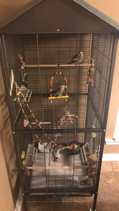 Cockatiel Cage Ideas, Cockatiel Cage Setup Ideas, Cockatiel Cage Setup, Cockatiel Aviary, Homemade Bird Toys, Cockatiel Toys, Budgie Cage, Cockatiel Cage, Diy Bird Cage