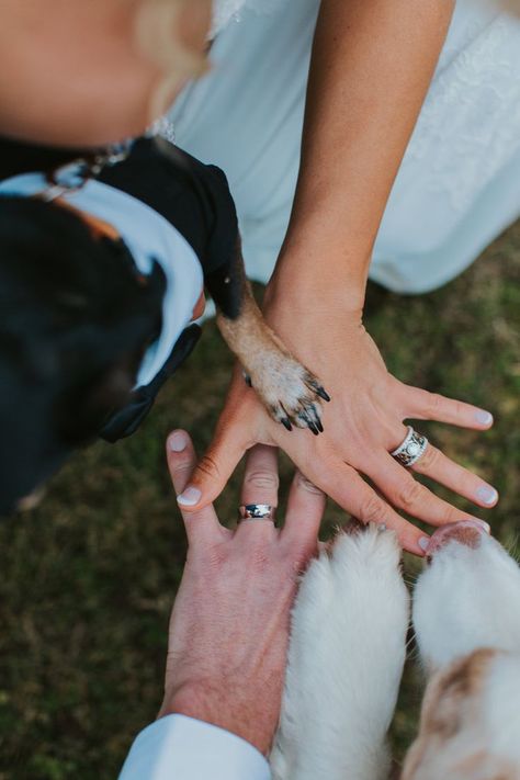 How to incorporate Dogs in your wedding photos. Dog Family wedding Photos, Paw and Hands wedding photos, Incorporate Dog In Wedding, Dog In Wedding, Dog Wedding Photos, Dogs In Weddings, Family Wedding Photos, Photos With Dog, Dog Family, Wedding Picture Poses, Wedding Pets