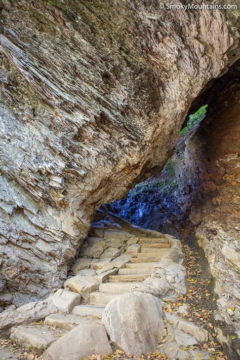 7 Must-See Geologic Landmarks in Great Smoky Mountains National Park Mt Leconte, Smokey Mountains National Park, Smokey Mountains Vacation, Smoky Mountains Vacation, Tennessee Travel, Tennessee Vacation, Mountain Vacations, Mountain Travel, Great Smoky Mountains National Park