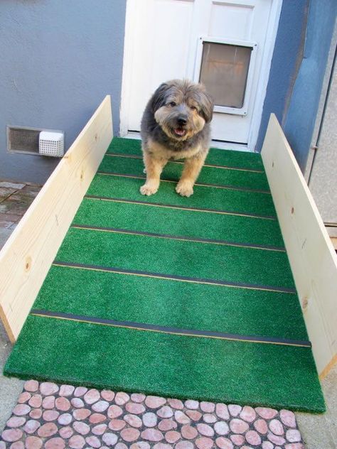 Diy Ramp For Dogs Outdoor, Diy Dog Ramp For Stairs Outdoor, Diy Dog Ramp, Dog Ramp For Stairs, Dog Ramp Diy, Dog Pool Ramp, Outdoor Ramp, Dog Ramp For Bed, Doggy Door