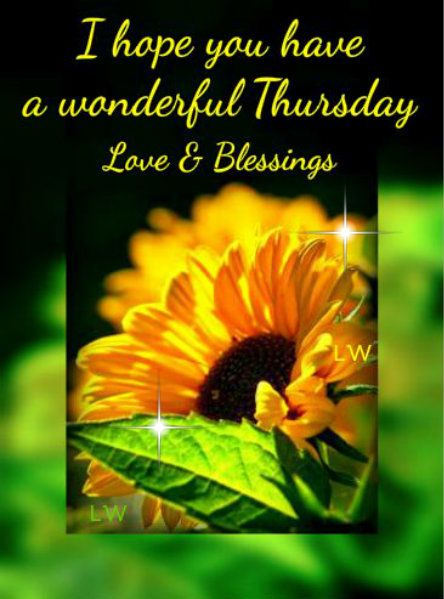 I hope you have a wonderful Thursday and the Blessings that the Heavenly Father will send down to shower each of you and your families and the Peace for the son of man one of the names that he hold Prince of Peace his Peace shall follow you all of your days until eternity lord keep each of them safe bless their comings and their goings I ask this in Christ mighty, and powerful name amen,(BLESS) Have A Wonderful Thursday, Thursday Morning Quotes, Wonderful Thursday, Happy Thursday Morning, Thursday Pictures, Thursday Greetings, Thursday Images, Thursday Blessings, Good Morning Happy Thursday