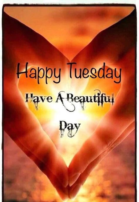 Happy Tuesday Morning Funny, Happy Tuesday Quotes Funny, Tuesday Quotes Funny, Happy Tuesday Images, Happy Tuesday Morning, Tuesday Images, Memory Quotes, Morning Tuesday, In Loving Memory Quotes