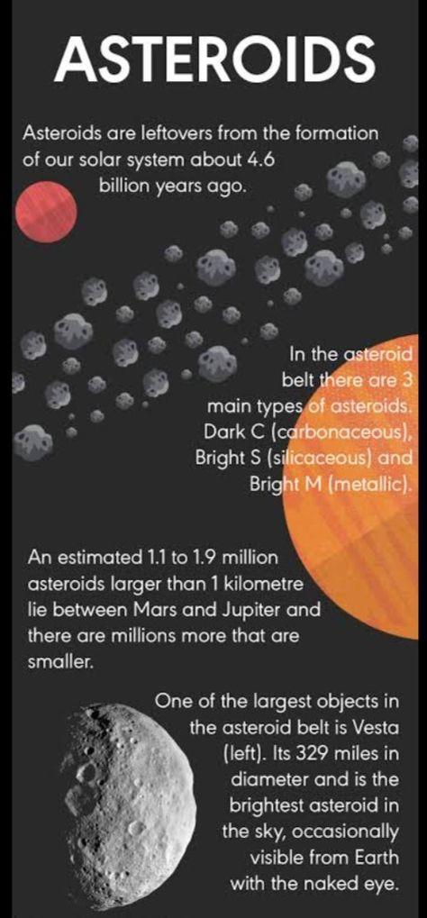 Asteroid Belt Project, Astronomy Projects High School, Astronomy Study, Classical Conversations Essentials, Newspaper Names, Solar System Unit, Asteroid Mining, Comets And Asteroids, Mass Extinction