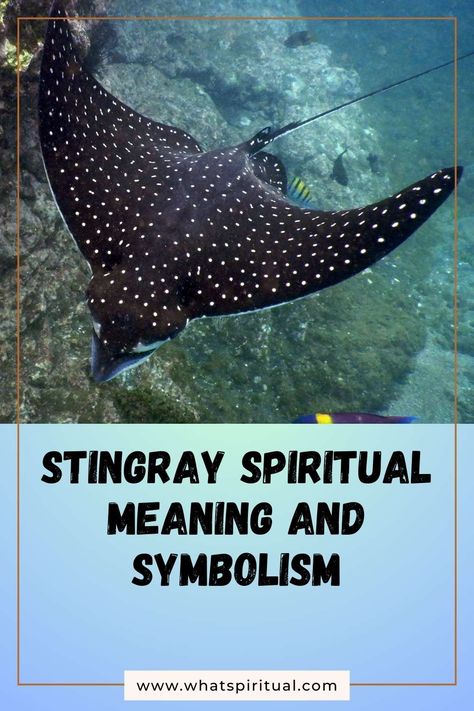 Stingray Spiritual Meaning and Symbolism (+Totem & Spirit) 2 Manta Ray Spiritual Meaning, Stingray Tattoo, Power Animal, Ancient Knowledge, Manta Ray, Spiritual Meaning, Animal Totems, Navigating Life, Stinger