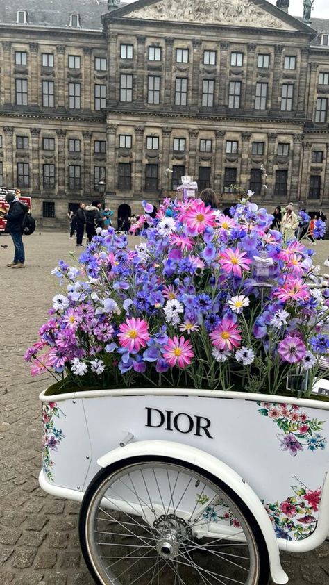 Wallpaper/ aesthetic/ dior/ flowers Iphone Wallpaper Dior, Dior Aesthetic Wallpaper, Dior Flowers, Aesthetic Dior, Dior Wallpaper, Beautiful Live Wallpaper, Dior Aesthetic, Cute Desktop Wallpaper, Love Is Not