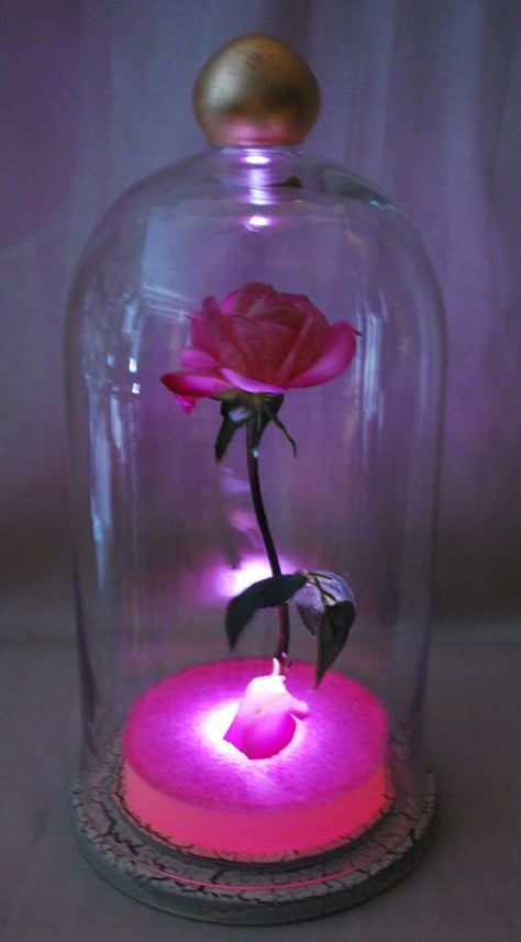 Beauty And The Beast Rose Diy, Beauty Spell, Rose Fairy, Movie Props, The Beast, Fairy Tale, Pink Rose, Enchanted, Floating