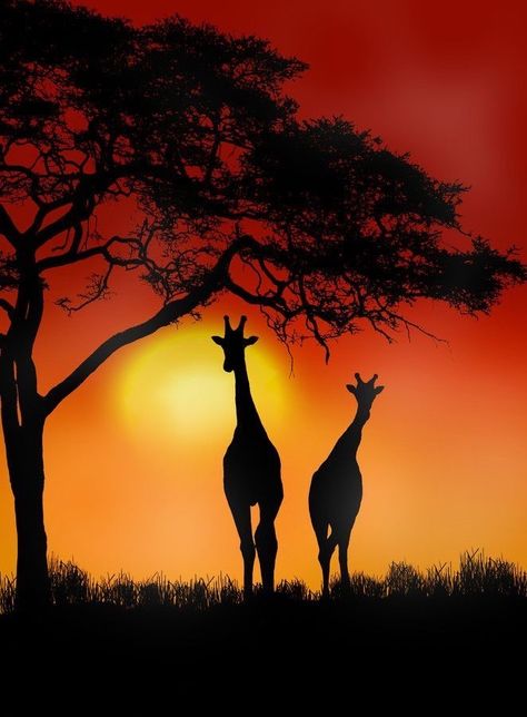 African Sunset, Afrikaanse Kunst, Image Nature, Silhouette Art, African Animals, Sunset Beach, Giraffes, Beautiful Sunset, African Art