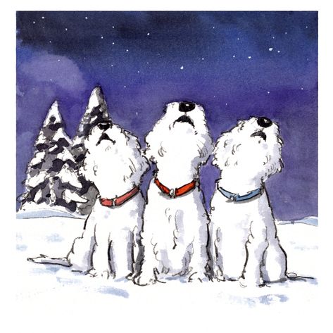 Christmas Westies – Iain Welch Art and Design Westie Christmas Cards, Dog Tree, Westie Dogs, Christmas Card Art, Hello Lovely, Watercolor Ideas, West Highland Terrier, West Highland White Terrier, Dessin Adorable