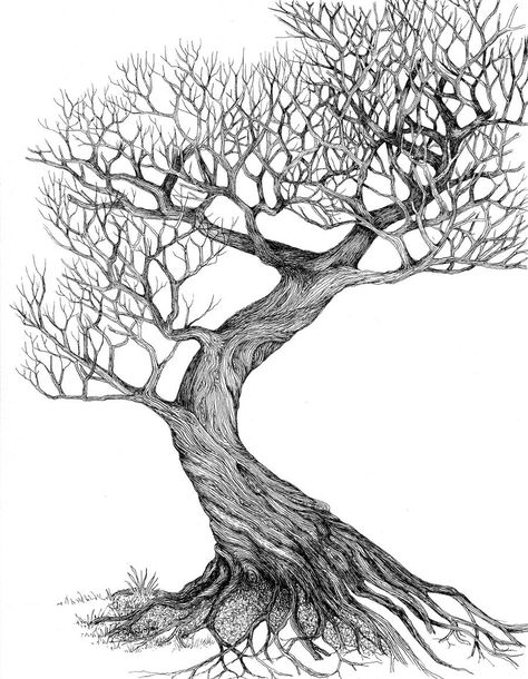 Ladder Drawing, Twisting Tree, Tree Trunk Drawing, Oak Tree Drawings, Drawing Dead, Trees Drawing Tutorial, Drawing Leaves, Tree Drawings, Twisted Tree