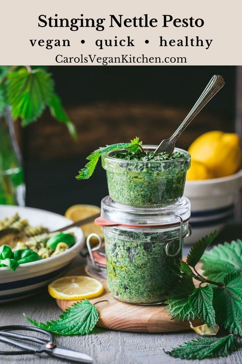 This Stinging Nettle Pesto recipe tastes like spring with all the nutrients of dark leafy greens. It’s rich and creamy from wholesome walnuts and can easily be made oil-free. Toss this flavorful vegan pesto with your favorite pasta for a quick weeknight dinner! Nettle Pesto Recipe, Nettle Pesto, Nettle Recipes, Vegan Pesto Pasta, Pesto Vegan, Quick Pasta, Vegan Parmesan Cheese, Squeezed Lemon, Stinging Nettle