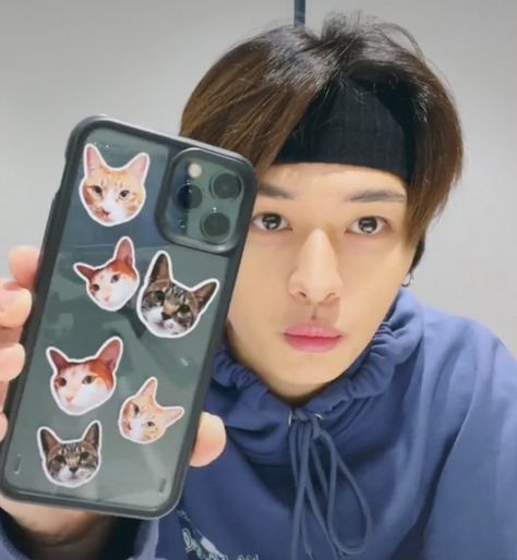 straykids leeknow vlive moment Minho's Cats, Kids Phone Cases, Friends Phone Case, Kpop Phone Cases, Straykids Leeknow, Stray Kids Minho, Kids Zoo, Cats Case, Cats Phone Case