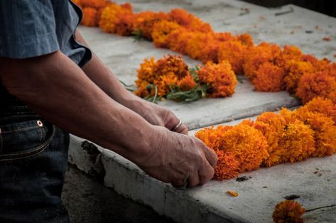 Mexican Ofrenda Ideas, Ofrenda Ideas Diy Small House, Diy Ofrenda, How To Make An Ofrenda, Offrenda Table Ideas Decor, Modern Ofrenda, Simple Ofrenda Ideas, Make An Ofrenda, Small Ofrenda Ideas