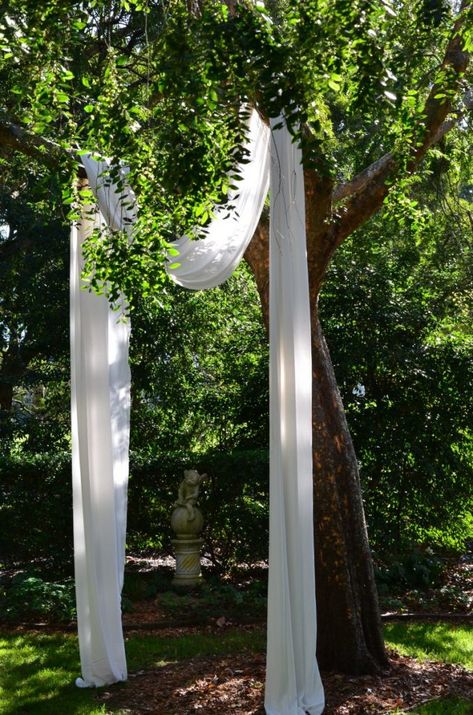 How to drape a tree with fabric for a stunning outdoor ceremony. » The Secret Garden » Southern Highlands Garden Wedding Modern Wedding Arch, Tree Wedding Ceremony, Floral Wedding Arch, Garden Wedding Ceremony, Wedding Alters, Fabric Draping, Garden Weddings Ceremony, Picnic Wedding, The Secret Garden