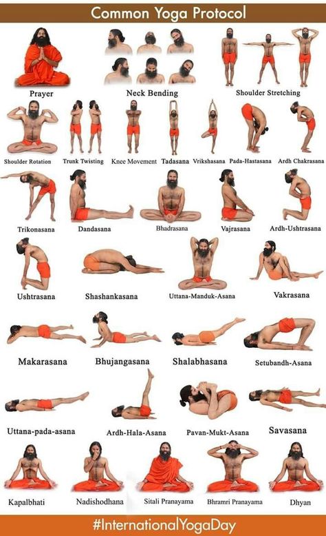 Ramdev Yoga, Yoga Chart, Healthy Makeup, Yoga Ashtanga, Yoga Nature, Yoga Facts, Yoga Poses Names, Poses For Beginners, Yoga Beginners