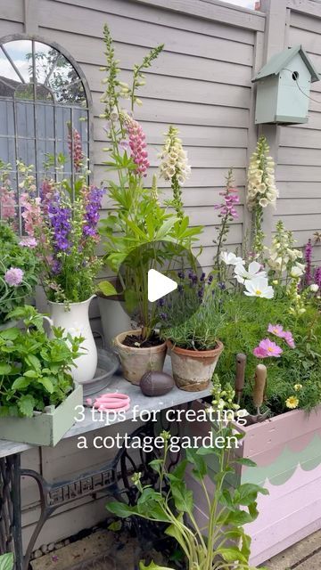 Emily Young on Instagram: "Ahead of the summer these are 3 simple things I did to create my little cottage garden 🌸☀️🩵.  The majority of flowers do grow back but for some of the pots we add new ones in to create more variety. What are you favourite flowers to grow in your garden?  Parasol - @gardenesque_uk  Mirror - @gardenesque_uk  Pots - @bandq_uk  Outdoor seating - @homebase_uk  Fence - @cuprinol_uk muted clay  Shed - @frenchicpaint dusky blush" Cuprinol Muted Clay, Border Flowers, Flowers To Grow, Backyard Ideas For Small Yards, Orchid Planters, Small Yards, Garden Parasol, Garden Border, Green Orchid