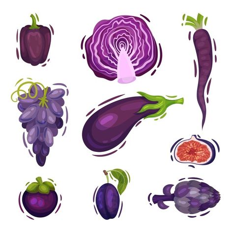 Set of purple vegetables and fruits | Premium Vector #Freepik #vector #food #fruit #plants #vegetables Purple Fruit Drawing, Purple Fruits And Vegetables, Purple Vegetables, Purple Beans, Blue Vegetables, Red Vegetables, Healthy Fruits And Vegetables, Plants Vegetables, Fruit Clipart