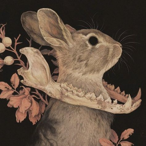 Hare Aesthetic, Goth Rabbit, Teagan White, Arte Peculiar, A Drawing, Art Plastique, 귀여운 동물, Pretty Art, Dark Art