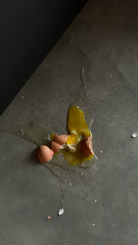 Eggs On Counter, Egg Photography Creative, Egg Photography, Journalism Photography, Procreate Ideas, Photo Study, Egg Photo, Broken Egg, Human Sexuality