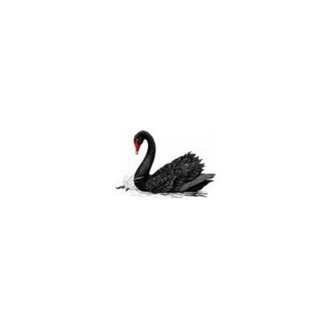 Black Swan Tattoo, Simple Unique Tattoos, Swan Heart, Black Swan Movie, Swan Drawing, Swan Tattoo, Swan Wallpaper, Australian Icons, Libra Tattoo