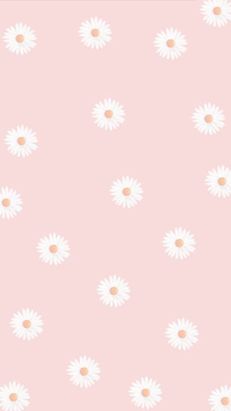 Pink Daisies Wallpaper, Pink Daisy Wallpaper Iphone Wallpapers, Pink Daisy Wallpaper, Looney Tunes Wallpaper, Pink Wallpaper Ipad, Marble Iphone Wallpaper, Handmade Logo, Wallpapers Ipad, Pink Flowers Wallpaper