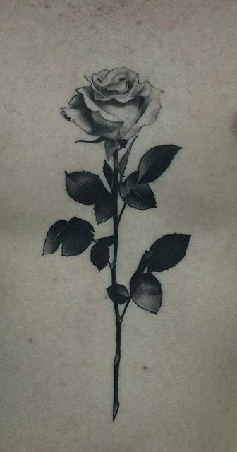 Antique Rose Tattoo, Rose Leaf Tattoo, Shaded Rose Tattoo, Rose Sternum Tattoo, Rose Chest Tattoo, Traditional Panther Tattoo, Body Tattoo Design, Mystical Tattoos, Shade Roses