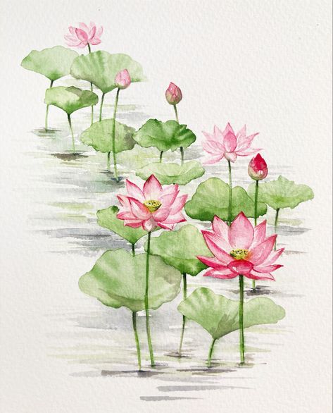 Learn to watercolour. Paint a ponk lotus flower with green leaves on a glistening pond all in controlled loose watercolour in my new botanical style. Click the link to watch! #watercolour #watercolor #lotusflower #lotus #watercolourflowers #painting #youtube Lotus Watercolour Painting, Lotus In Pond Painting, Lotus Pond Watercolor Painting, Lotus Pond Watercolor, Lotus Flower Art Watercolor, Watercolour Botanical Flowers, Lotus Flower Watercolor Painting, Lotus Leaves Painting, Lotus Painting Watercolor