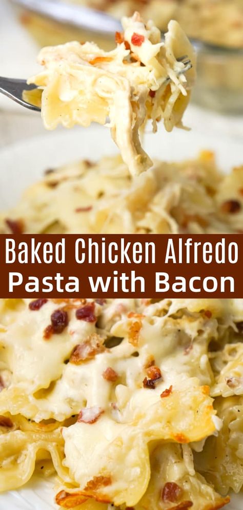 Baked Chicken Alfredo Pasta with Bacon is a delicious dinner recipe loaded with bow tie pasta, shredded chicken and crumbled bacon all in a creamy garlic Parmesan sauce and baked with mozzarella on top. Alfredo Pasta With Bacon, Bow Pasta Recipes, Baked Chicken Alfredo, Fettucini Alfredo Recipe, Bow Tie Pasta Recipe, Bacon Pasta Recipes, Chicken Bacon Alfredo, Baked Chicken Alfredo Pasta, Creamy Garlic Parmesan Sauce