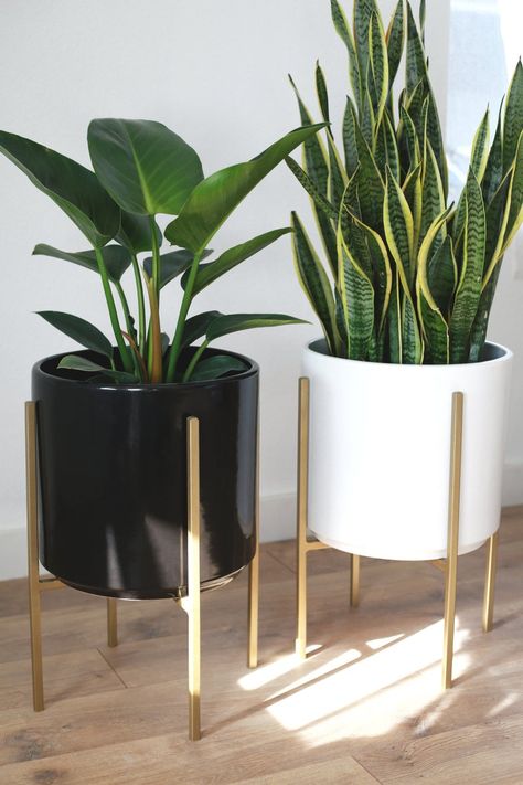 Mid Century Modern Plants, Kaktus Dan Sukulen, Mid Century Modern Planter, Gold Planter, Modern Planter, نباتات منزلية, Living Room Plants, Metal Plant Stand, Diy Plant Stand