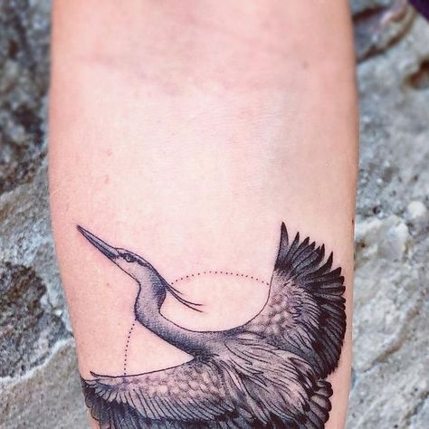 Lindsay McCarthy on Instagram: ""I'm picturing a blue heron soaring across my arm with a cresenct moon somehow incorporated." -client "I don't believe blue herons fly at night." -me  I think we came up with the perfect compromise 🌞?🌕? 🤷‍♀️ #tattoo #tattoos #Tattoos #tattooart #bodyart #blackandgreytattoo #realistictattoo #geometrictattoo #blueheron #blueherontattoo #ink #inked #inkedgirls #inkedup #tattooedwomen #womenwithink #freshink #tattoosnob #lucidtattoos #cambridgeontario #waterlooregion #tattoolife #inkedmagazine #tattoomagazine #armtattoo #wrawesome #tattoostyle #tattooideas #tattooart" Blue Heron Tattoo, Heron Tattoo, Tattoo Magazines, Inked Magazine, Herons, Blue Heron, Life Tattoos, Black And Grey Tattoos, Inked Girls