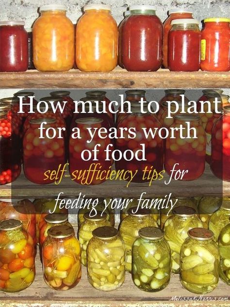 Learn how much you need to plant in order to have enough food to feed your family for a year.This planner is AWESOME!!!!! Gardening Guide, Homestead Gardens, Food Garden, Nutritional Value, Grow Your Own Food, Flowers Garden, Veggie Garden, Growing Food, Farm Gardens