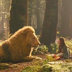 Uncertainty: Fodder for Fear | A New Lens Lucy Pevensie, Narnia 3, Prince Caspian, Cs Lewis, Chronicles Of Narnia, Lion Of Judah, A Lion, The Avengers, Narnia