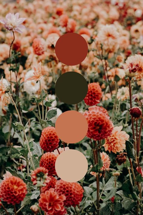 Comfy Bedroom Color Schemes, Jade And Rust Color Palette, Fall Colors Spring Wedding, Green And Rust Aesthetic, Green Orange Red Wedding, Dark Green And Peach Color Palette, Rust Pink And Green Wedding, Green Red Color Scheme, Esthetic Color Palette