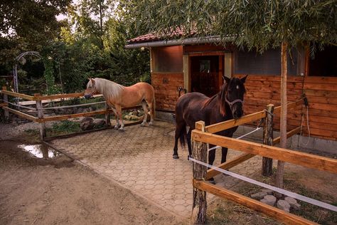 Small Horse Paddock, Horse Tie Up Area, Paddock Paradise Layout, Small Paddock, Paddock Paradise Ideas, Equine Stables, Small Horse Barns, Horse Pens, Horse Farm Ideas