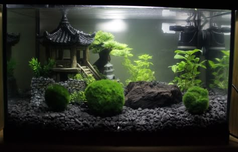 My Japan-themed Marimo tank. :-) Japanese Theme Fish Tank, Black And White Fish Tank Ideas, Asian Aquarium Ideas, Zen Fish Tank, Fish Tank Decorations Themes, Fish Tank Decor Ideas, Japanese Fish Tank, Axolotl Tank Ideas, Japan Aquarium